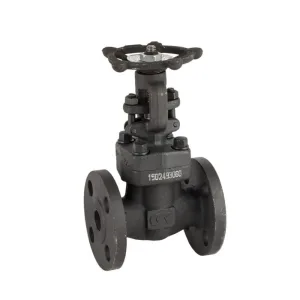 Válvula de compuerta con bridas ANSI clase 150