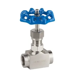 Válvulas de aguja – 3000 Lbs INOX