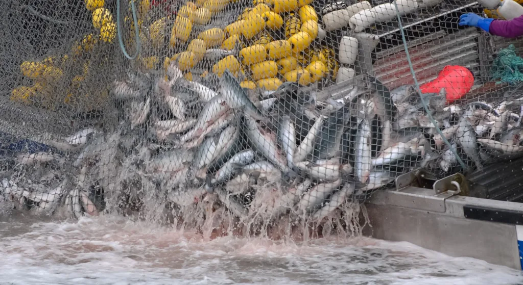 imagen para el titulo: