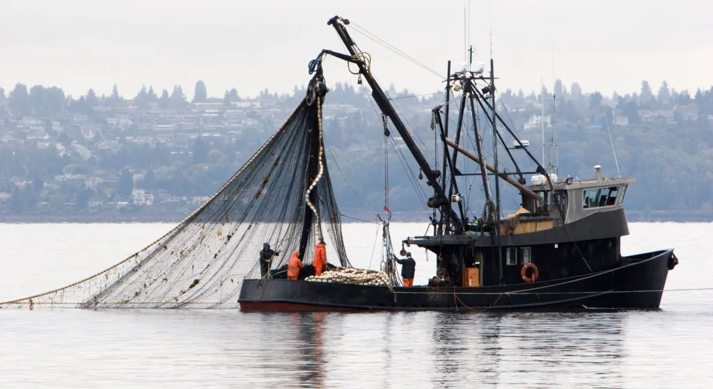 imagen para el articiulo de Cómo elegir los equipos de pesca comercial adecuados para su negocio