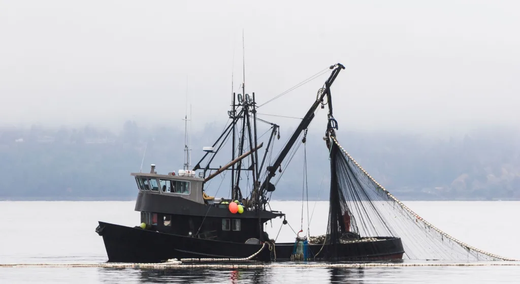 portada de Cómo elegir el motor adecuado para tu embarcación: Guía completa